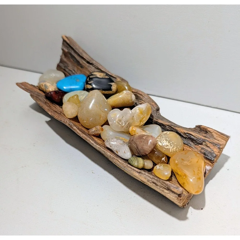 Black Locust Hollow Root Fairy garden or Gemstone Display. 9